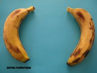 poema entre parentesis cortesia nel amaro courtesy from the artist to klauss van damme all rights reserved vegap